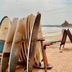 Surfles in Sri Lanka